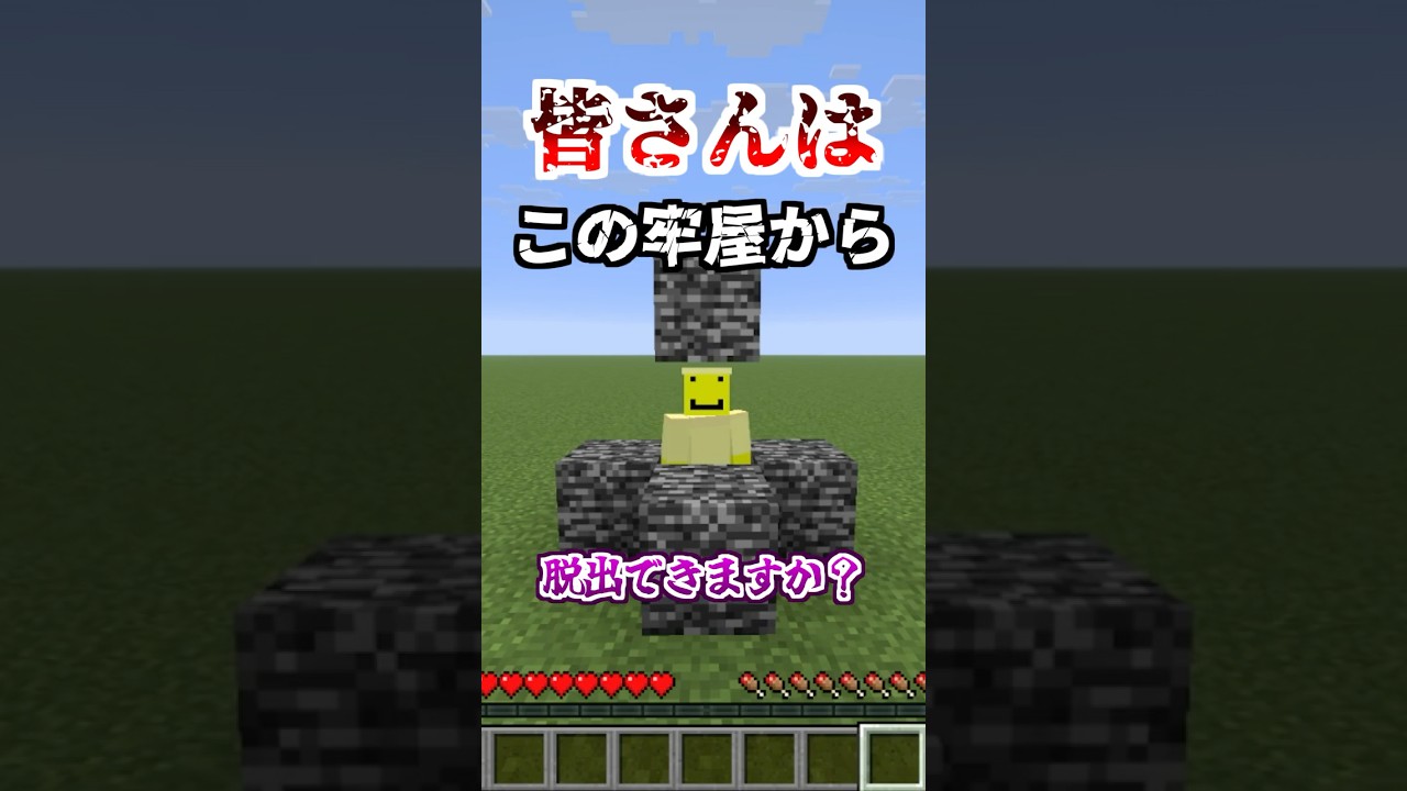 マイクラの隠しコマンド㊙️#エイプリルフール