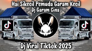 Download lagu DJ GARAM CINA || HAI SIKECIL PEMUDA GARAM KECIL X BUDAK CIAMIS KULIAH DI PALEMBANG VIRAL TIKTOK !!! mp3