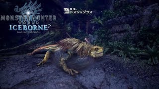 MHW:IB　#2　ドスジャグラスお前苦労してんだな