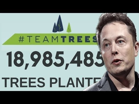 MrBeast Plants 20 million trees - #teamtrees - LIVE COUNTER