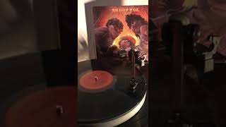 Britny fox-Hair of the dog