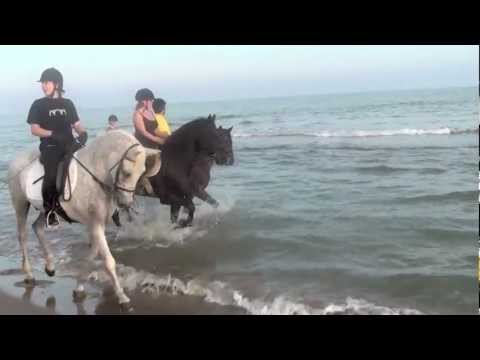 RUTES A CAVALL PEL DELTA DE L'EBRE. Excursió a la Platja dels Eucaliptus - Amposta