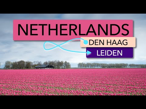Travel from Den Haag, Centraal Station, The Hague, Netherlands to Leiden | Netherlands 4K asmr