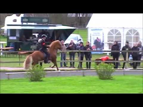 Tígull fra Kleiva, ISICUP Eichenhof 22. april 2012