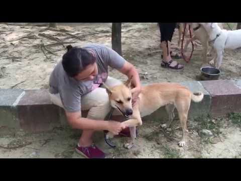 Alima is good with stranger