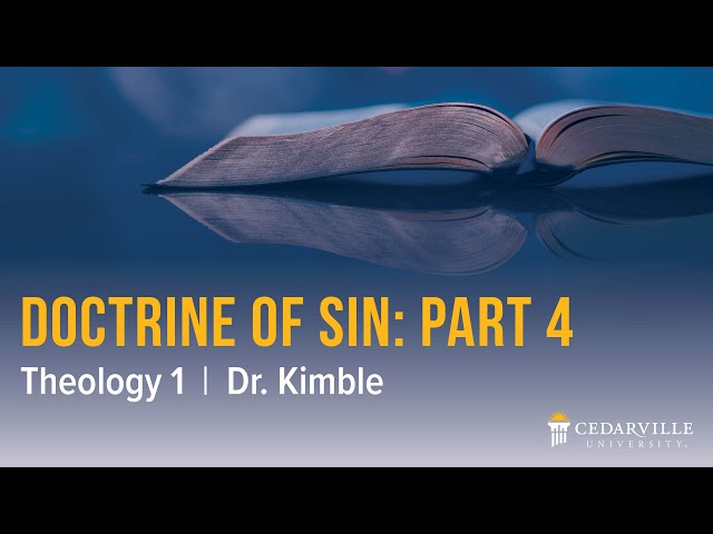 Thumbnail for video titled: Theology I: Doctrine of Sin (part 4)