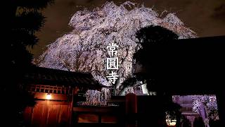 Joenji Temple video preview