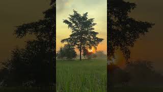 Download lagu Satu Jam Matahari Terbit di Atas Sawah dalam 30 Detik π
Pedesaan Thailand mp3 Download lagu Satu Jam Matahari Terbit di Atas Sawah dalam 30 Detik π
Pedesaan Thailand mp3