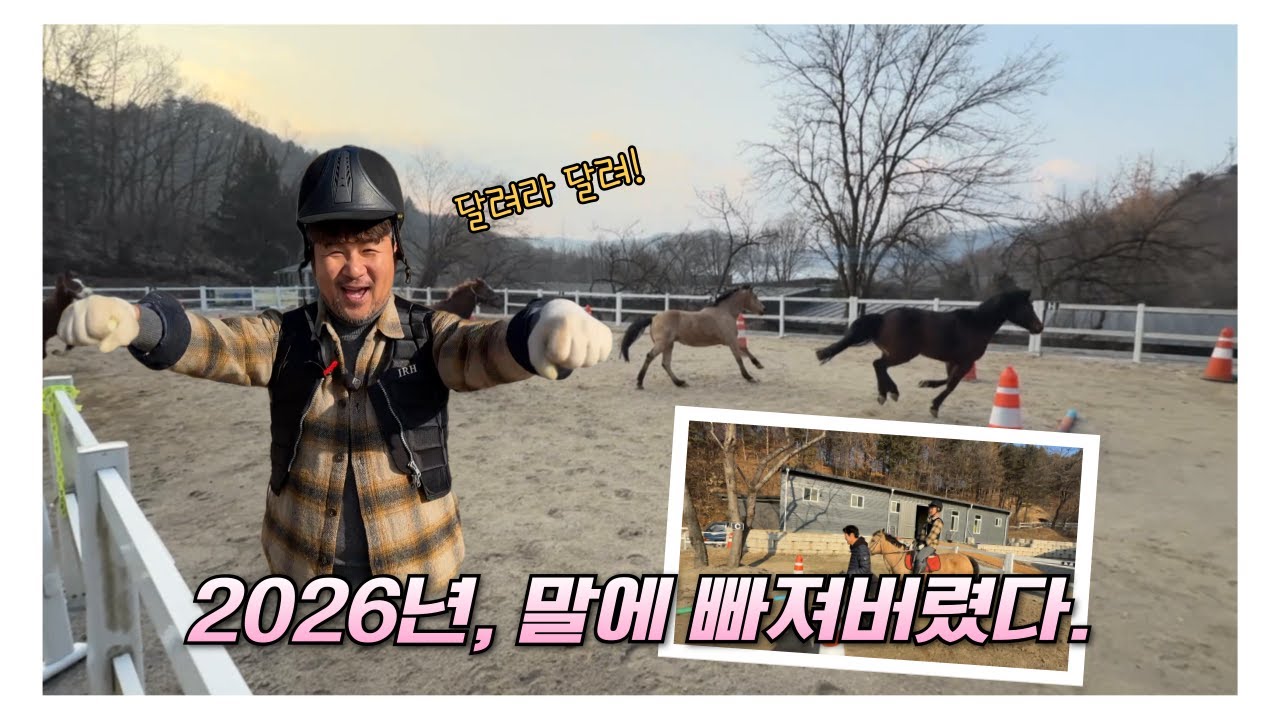 2026, 말에 빠져버렸다! [강원365]