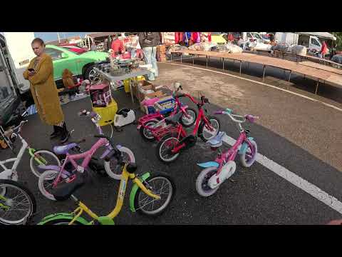 Vânătoarea de Comori la Cluj-Napoca! 💰 Ce am găsit în cel mai mare târg din Ardeal (PARTEA 1)