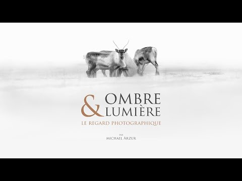Ombre & Lumière - épisode 2 [ le regard photographique ]