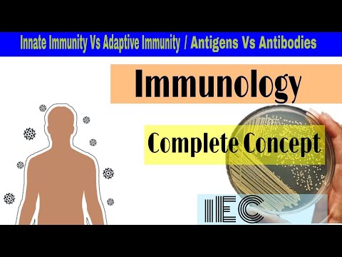 Immunology : Immune System - an overview (Complete Concept) - iEC
