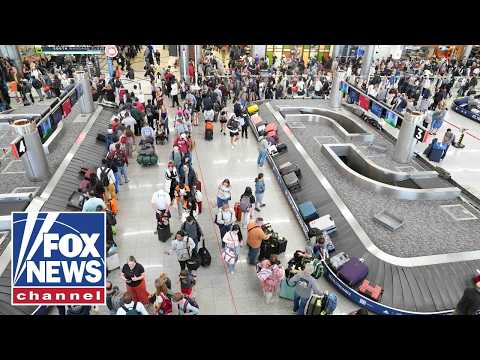 Elon Musk makes MAJOR offer as US airports reel from DHS shutdown