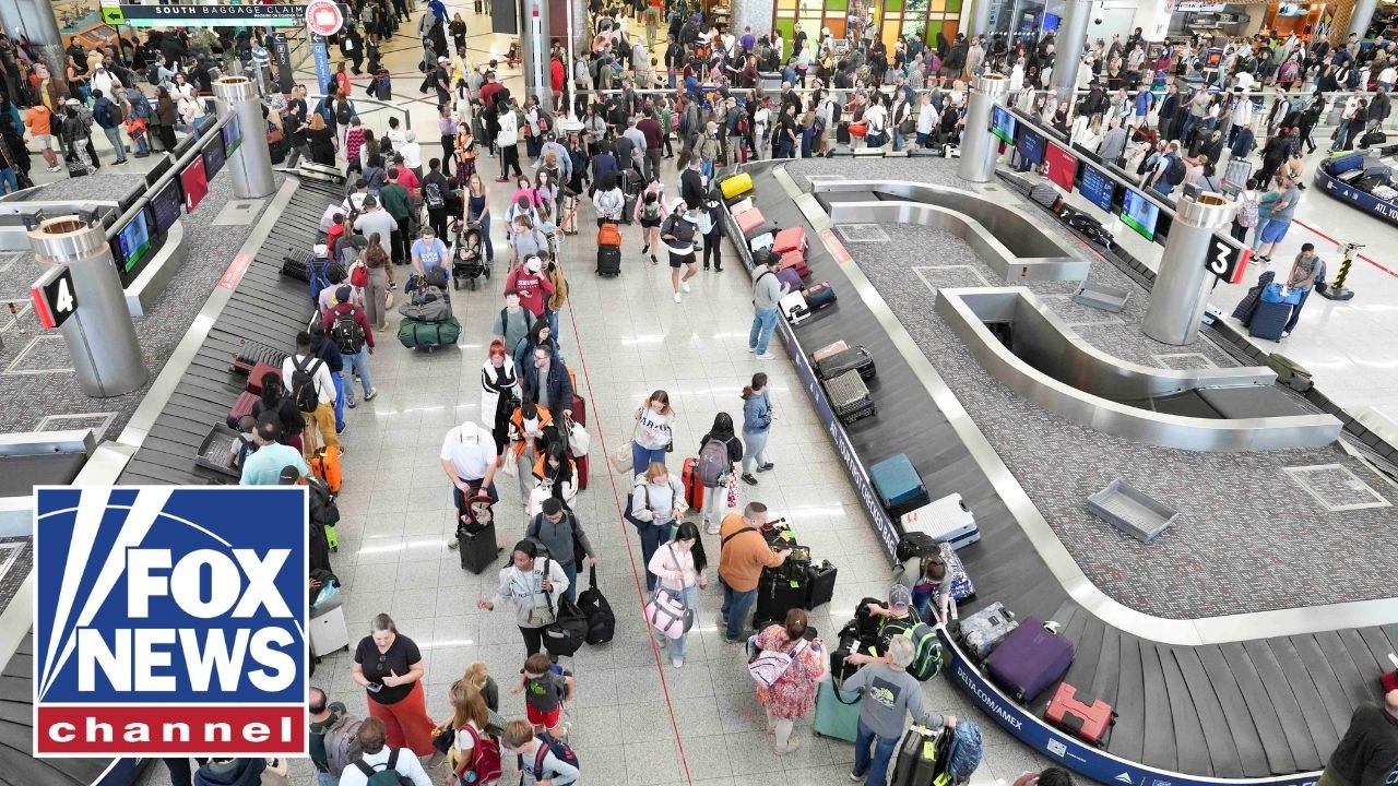 Elon Musk makes MAJOR offer as US airports reel from DHS shutdown