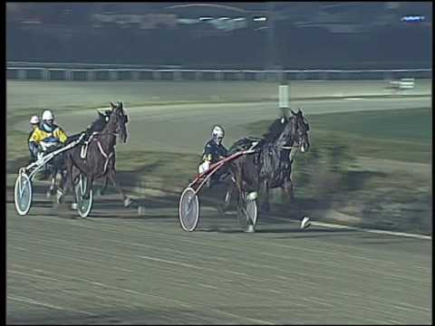 Trotto 27/12/2016 - 8ª corsa - TRIS