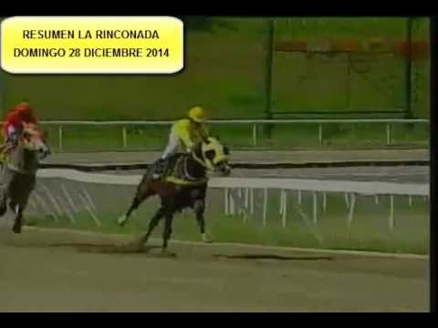 RESUMEN LA RINCONADA DOM 28 DICIEMBRE 2014