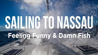 Sailing to Nassau - Feeling Funny & Damn Fish