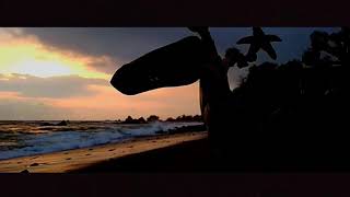 preview picture of video 'CINEMATIC PANTAI #2'