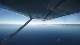 Kaikoura Cessna 172M whale watch flight