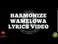 Harmonize - Wamelowa Lyrics Video