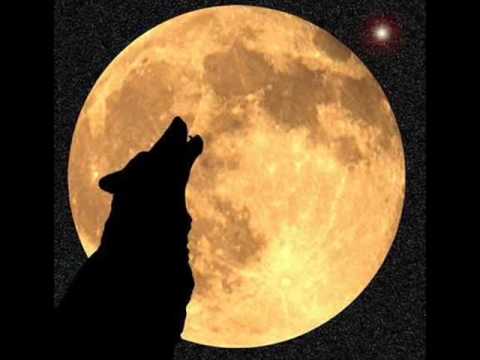 Full Moon Madness