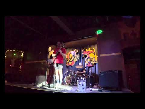 Catnip video