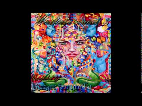 14   Bizzare frequenCy & PolyBius