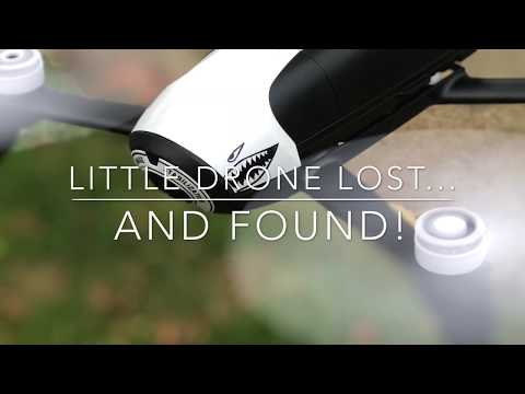Little Drone Lost