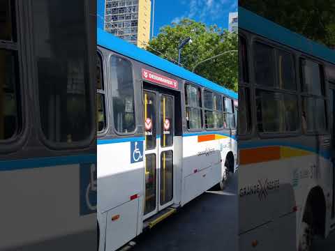 Andando pelas ruas do centro de Recife 2