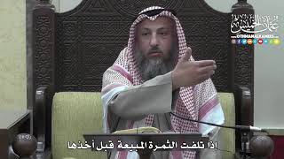 1410 - إذا تلفت الثمرة المبيعة قبل أخذها - عثمان الخميس