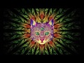 Best Rave Party Songs Mix 1 PSY TRANCE MINIMAL GOA TRANCE HEAVY BASS Song List In Description