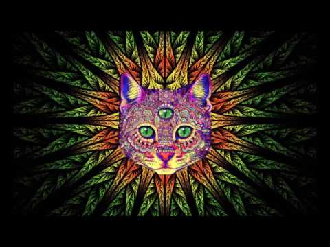 Best Rave/Party Songs Mix #1: PSY TRANCE MINIMAL GOA TRANCE HEAVY BASS (song list in description)