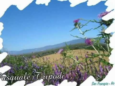 San Procopio - La Campagna.mpg