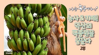[나는농부다 290회 2부] 농사&카페! 익산의 백종원을 꿈꾼다