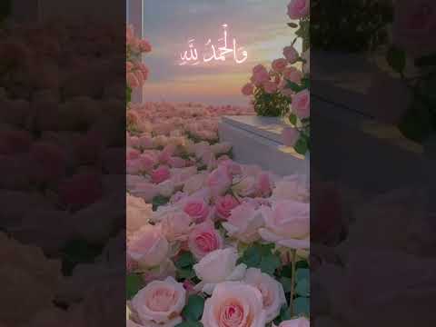 Beautiful flowers with Subhanallah #naat #islamicstatus #islam #iammudassir #shorts #ytshorts