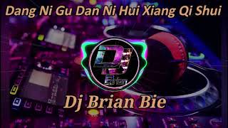 Download lagu Dang Ni Gu Dan Ni Hui Xiang Qi Shui 当你孤单你会想起谁 Remix By Dj Brian Bie mp3