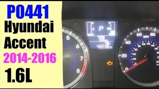 2014-2016 Accent 1.6L p0441
