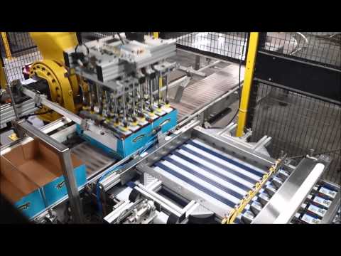Hi Speed Robotic Case Packer