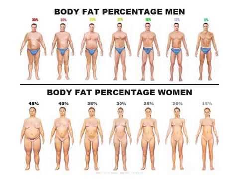 30 Days To Abs Review | scientific program to burn that subbor belly fat