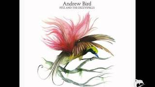 Andrew Bird - Ten-You-Us