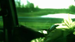 Lilies on Mars Hiding Under Water