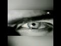 L'amour Décadent~ Marc Lavoine🌹