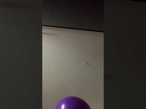 Balloon episode #3813