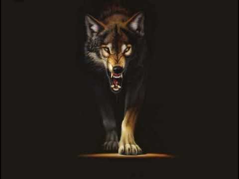 Massaka ft Kanel36 - original by Legend Musik 🎶