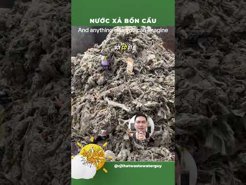Nước xả bồn cầu đi về đâu