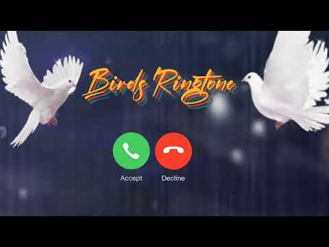Cute Birds Ringtone 2022 | New Ringtone 2021/ 2022 | Love Ringtone | Instrumental | Flute Ringtone