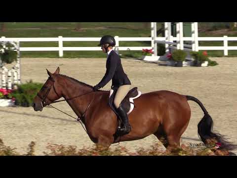 Mya Pinski & Lord Mayor's Bentley - Childrens Htr Saturday - A Finals Sep 2019