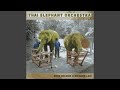 Elephant Field Recordings