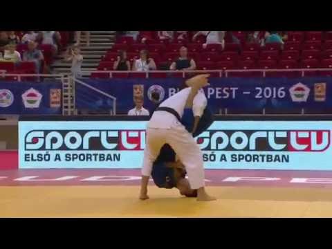 柔道 Judo Grand Prix Budapest. 2016. It is not best highlights compilation, but just marginalia...