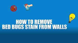 How to remove bed bug stain from walls